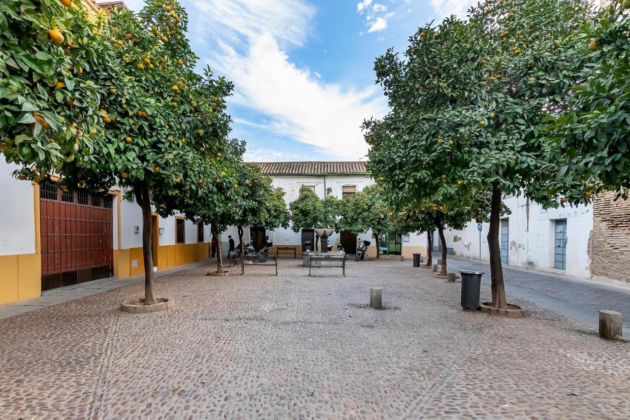 Bhost - Regina III Córdoba Exterior foto